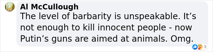 A Lion And Wolf Get Carried By Crane Into A Minivan Driven By Three Brits In Order To Save Them