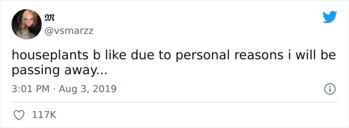 Dark humor meme about houseplants humorously stating their demise for personal reasons.