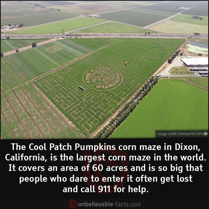 Interesting-Unbelievable-Facts