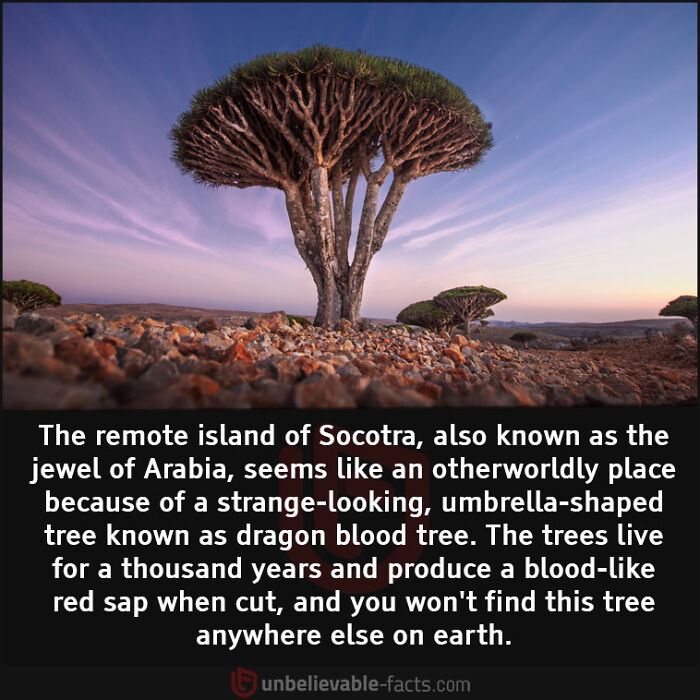 Interesting-Unbelievable-Facts