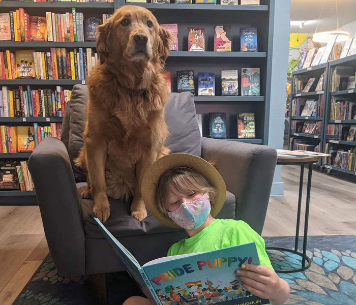 Bookstore Becomes More Magical When Golden Retriever Is Appointed As Manager