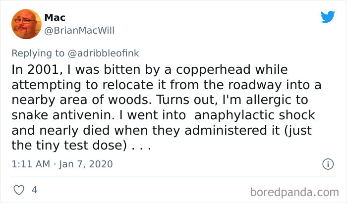 Unexpected-Plot-Twists