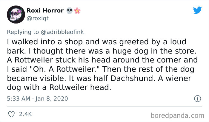 Unexpected-Plot-Twists