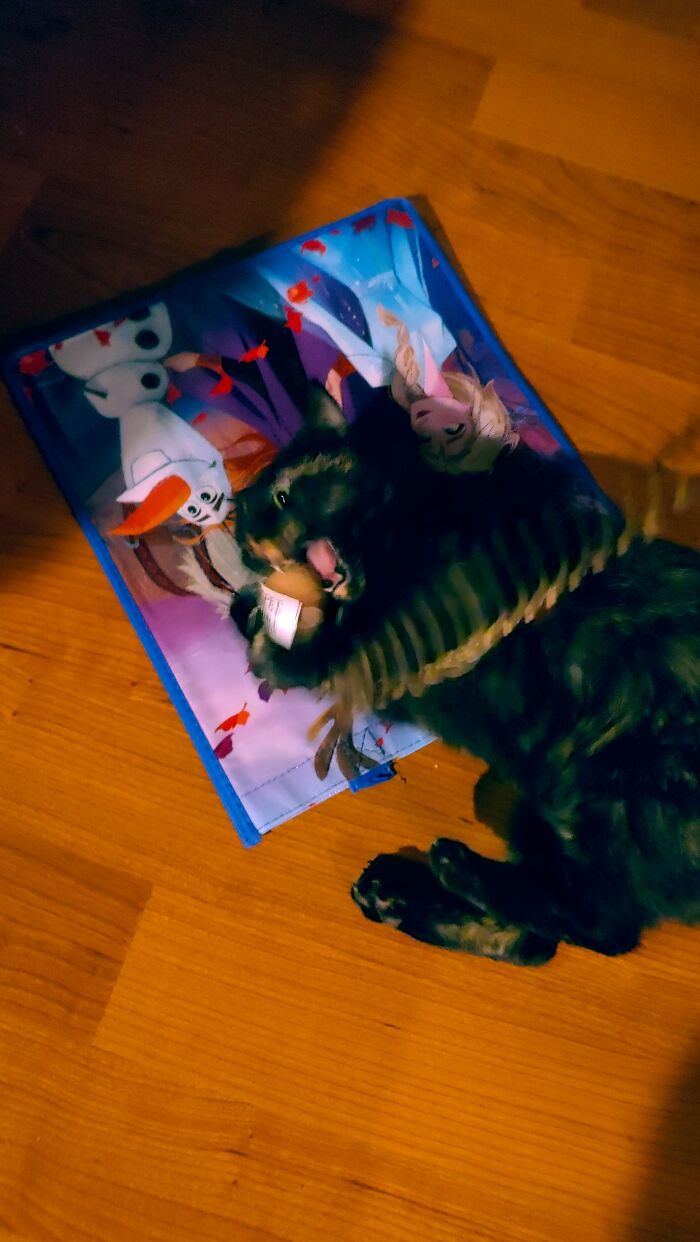 We Wants It, We Needs It! Must Have The Precious!