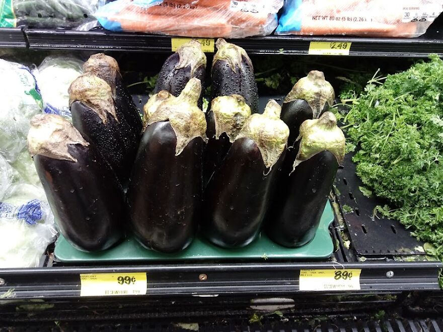 Oh No! Another Invasion Of Body Snatchers!