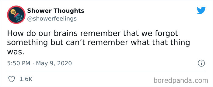 Tweet from Shower Thoughts questioning how brains remember forgetting something but not what it was, shared on an online page of shower thoughts.