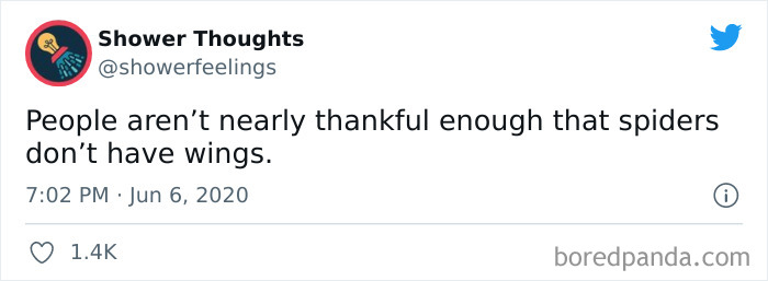 Tweet from Shower Thoughts account sharing a shower thought about people not being thankful enough that spiders don’t have wings.