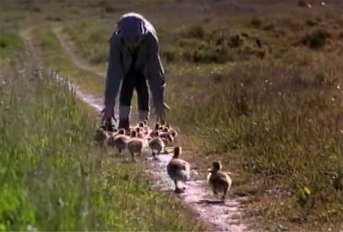 40 Movies Nobody Ever Talks About, But Are Cult Classics According To People In This Online Group