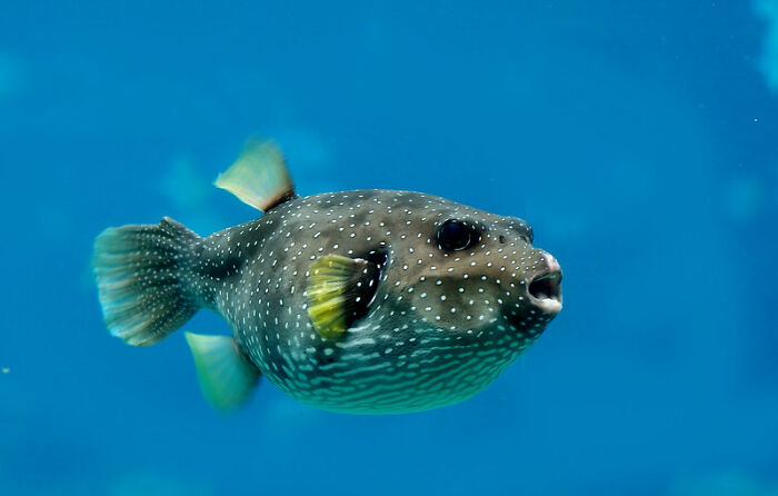 “What Did You Learn At An Embarrassingly Late Age?” (40 New Answers)