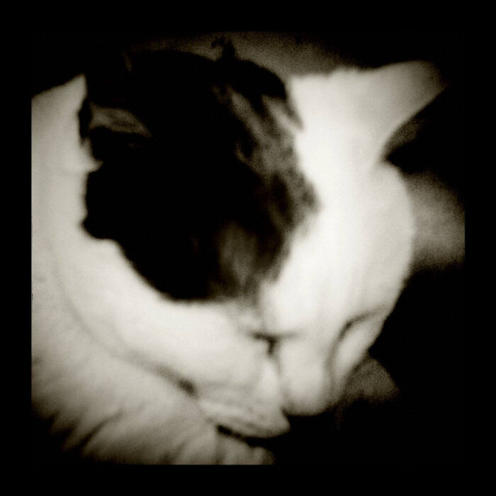 Asta.....in Her Own Dreamworld. I Suffer From Essential Tremors, So She Turned Out A Bit Blurry. But, It's Fitting For Her Dreams.