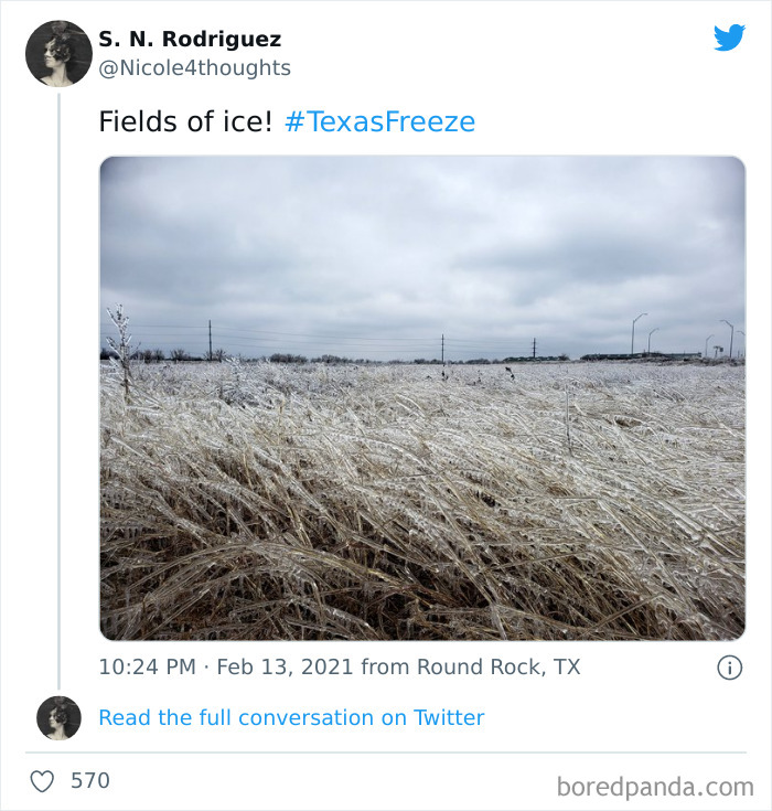 Everything Turns To Ice