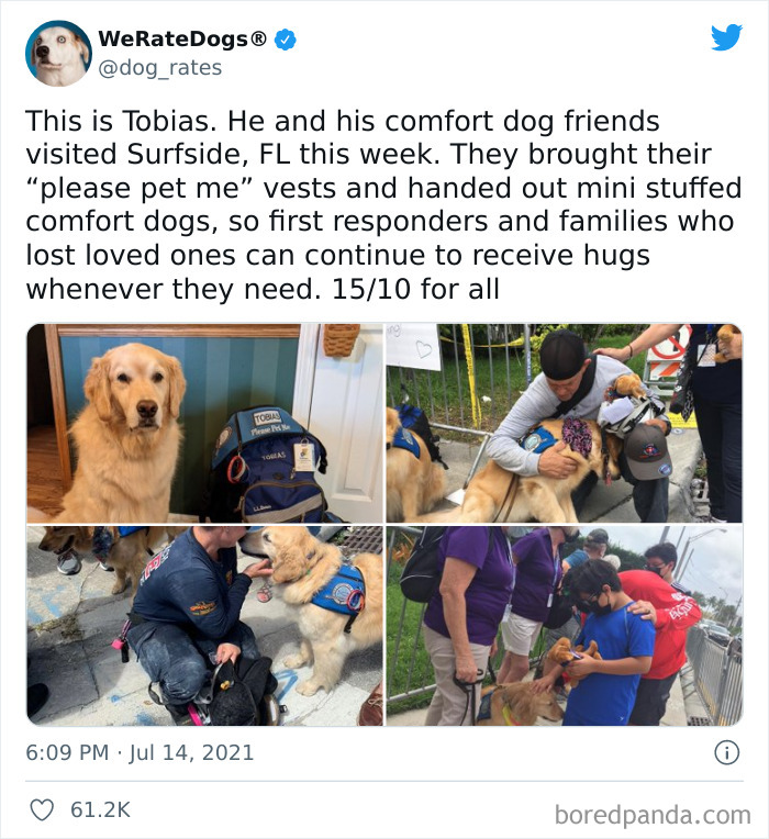 Dog-Rates-Twitter