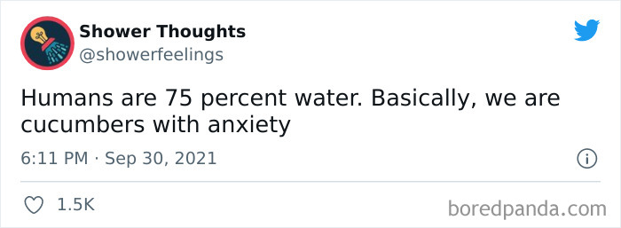 Tweet from Shower Thoughts account sharing a humorous shower thought about humans being 75 percent water and cucumbers with anxiety.