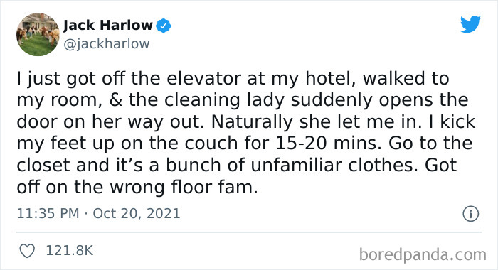 Unexpected-Plot-Twists