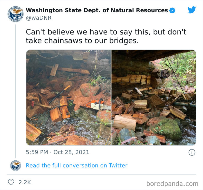 Someone Took A Chainsaw To The Cedar Base Of A Bridge In A Forest In WA To Sell The Cedar On The Black Market