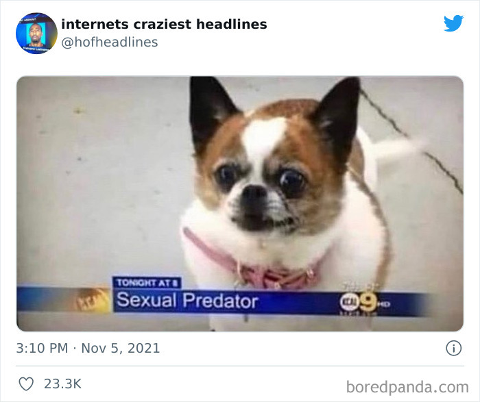 Internets-Craziest-Headlines