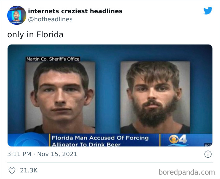 Internets-Craziest-Headlines