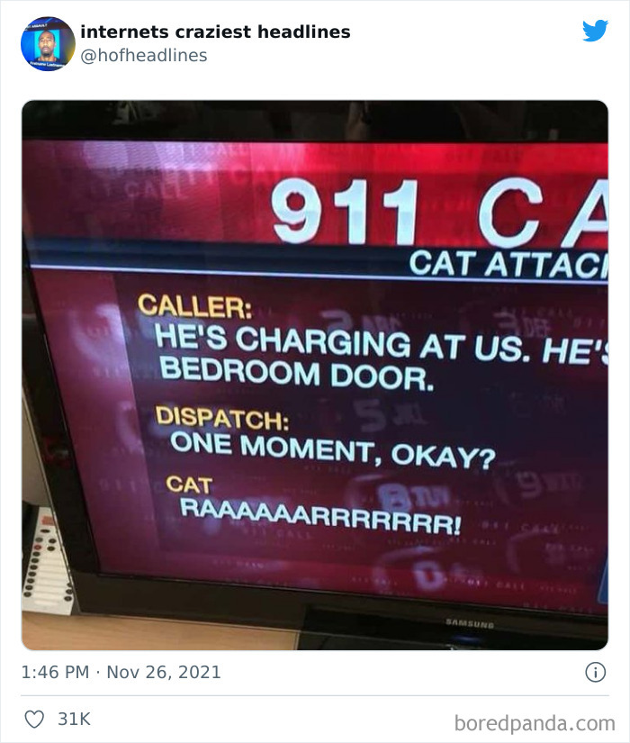 Internets-Craziest-Headlines