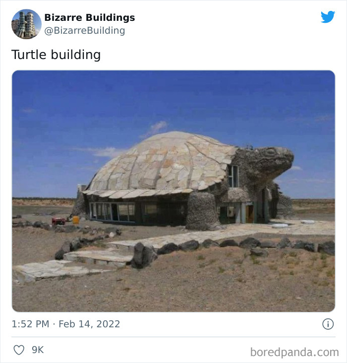 Unique turtle-shaped building in a desert landscape showcasing creative but potentially uncomfortable architectural design.