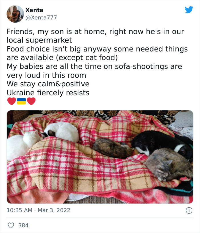 "7 Days Ago Everything Changed": This Is What It's Like To Live In The Kyiv Bomb Shelter When You’re A Cat "7 Days Ago Everything Changed": This Is What It's Like To Live In The Kyiv Bomb Shelter When You’re A Cat