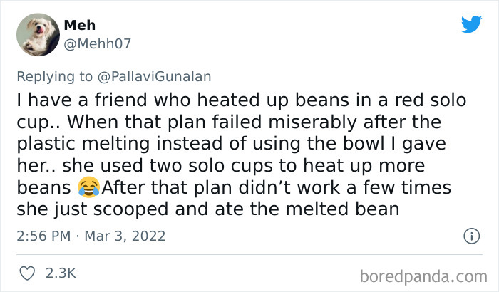 Stupid-Things-People-Have-Done-Said