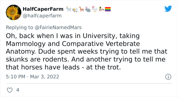 Infuriating-Times-Men-Tried-To-Mansplain