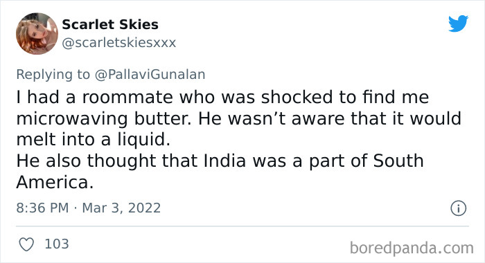 Stupid-Things-People-Have-Done-Said