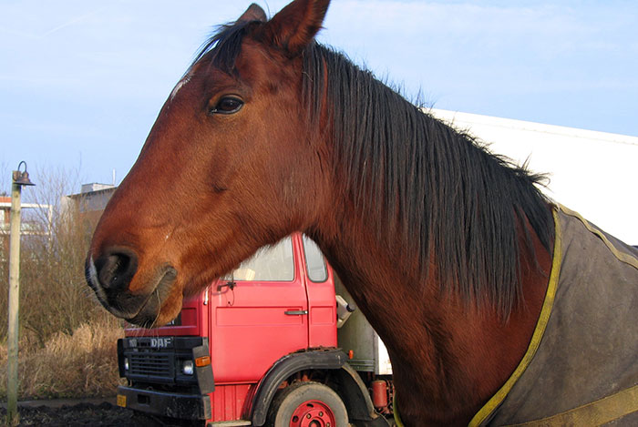 30 Mistakes Movies Make When Portraying Various Professions, As Shared By Folks In This Online Thread