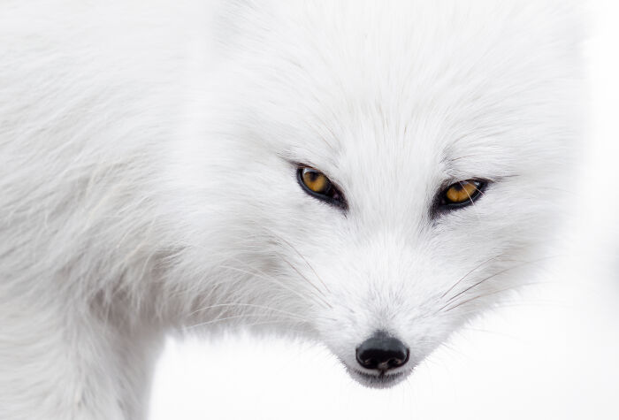 I Moved To Iceland Because Of My Love Of Photography. Here Is My Take On This Little Island.