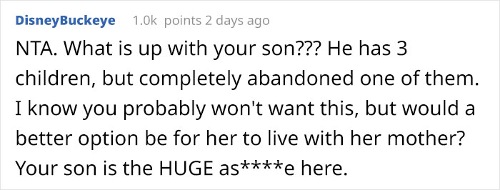 Woman Calls Out Her Son For Not Bringing His Daughter To Disneyland With The Rest Of His Family