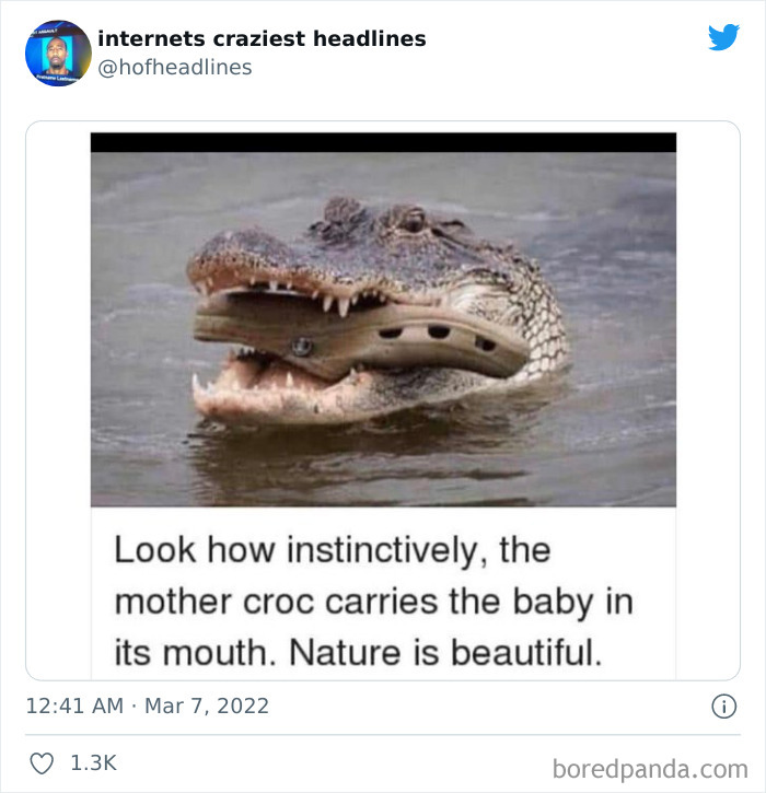 Internets-Craziest-Headlines