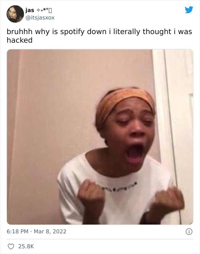 Spotify-Down-Memes-2022