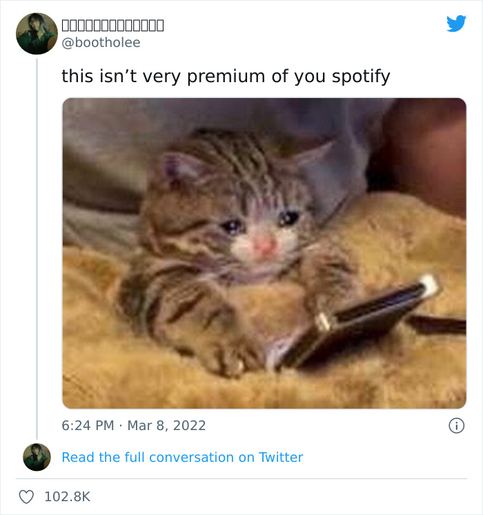 Spotify-Down-Memes-2022