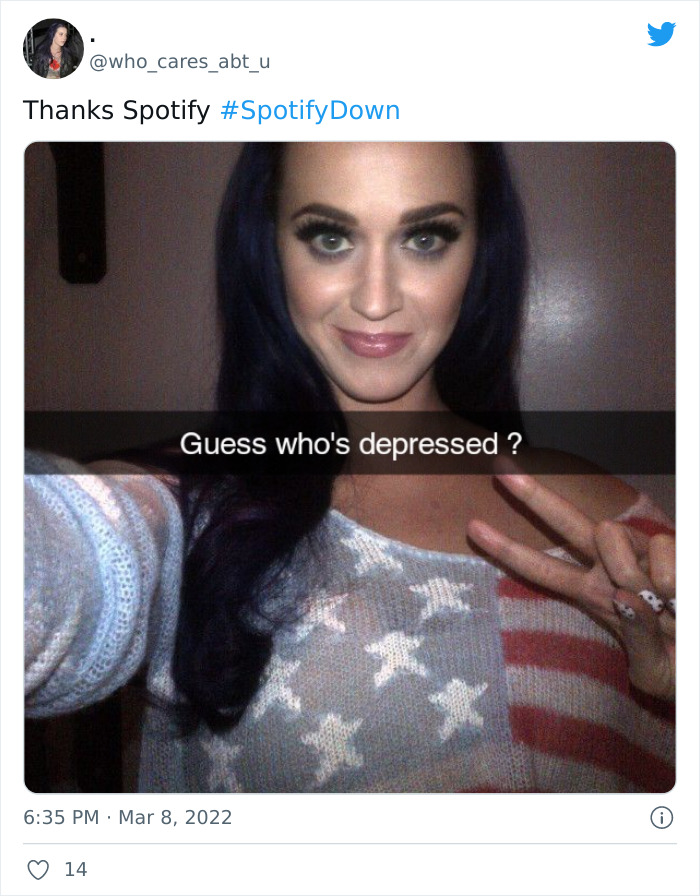 Spotify-Down-Memes-2022