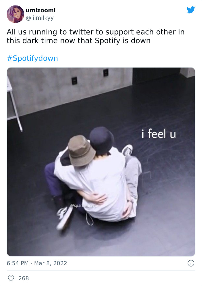 Spotify-Down-Memes-2022