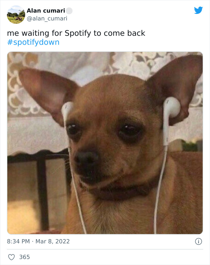 Spotify-Down-Memes-2022