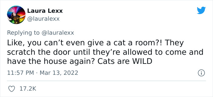 Online Folks Reveal 26 Stories About Cats And Their Engaging Night Routines