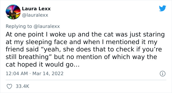 Online Folks Reveal 26 Stories About Cats And Their Engaging Night Routines