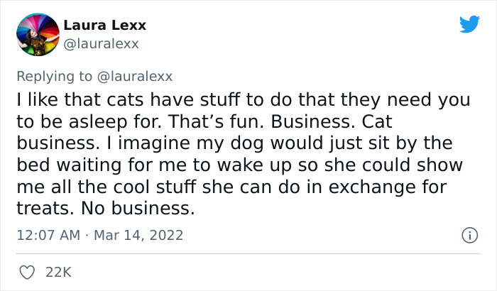 Online Folks Reveal 26 Stories About Cats And Their Engaging Night Routines