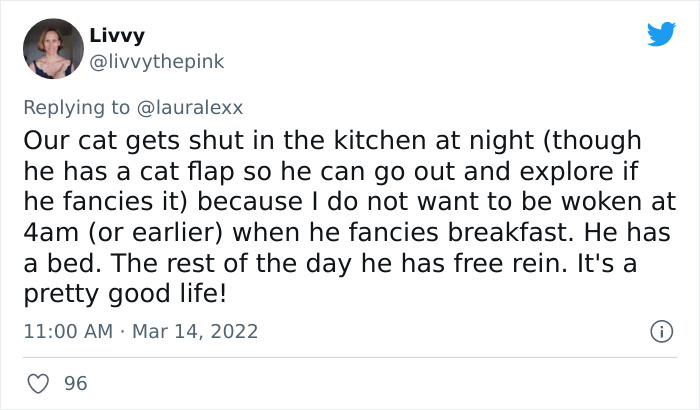 Online Folks Reveal 26 Stories About Cats And Their Engaging Night Routines