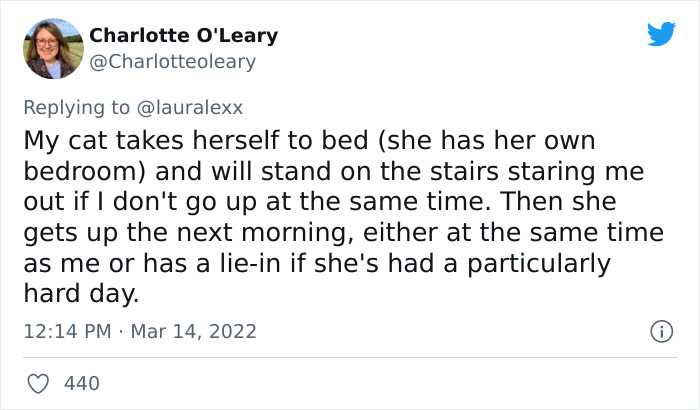 Online Folks Reveal 26 Stories About Cats And Their Engaging Night Routines