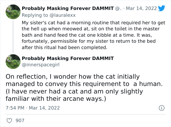 Online Folks Reveal 26 Stories About Cats And Their Engaging Night Routines