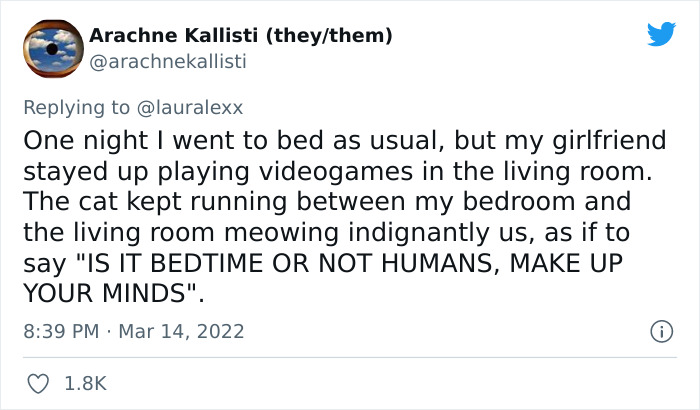 Online Folks Reveal 26 Stories About Cats And Their Engaging Night Routines