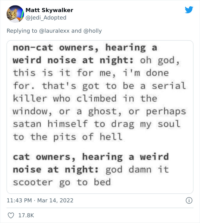 Online Folks Reveal 26 Stories About Cats And Their Engaging Night Routines