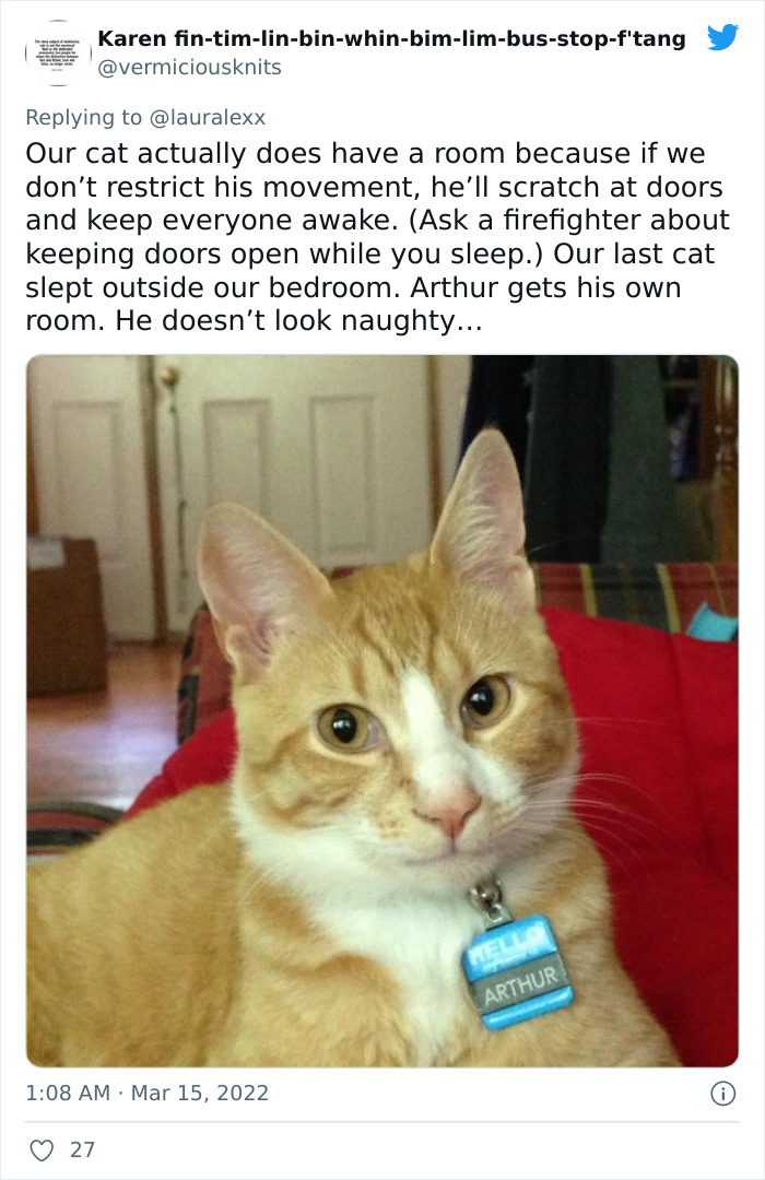Online Folks Reveal 26 Stories About Cats And Their Engaging Night Routines