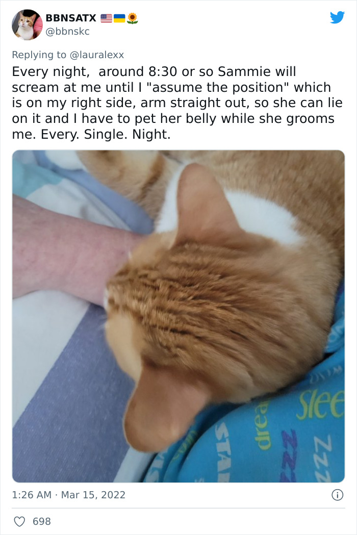 Online Folks Reveal 26 Stories About Cats And Their Engaging Night Routines