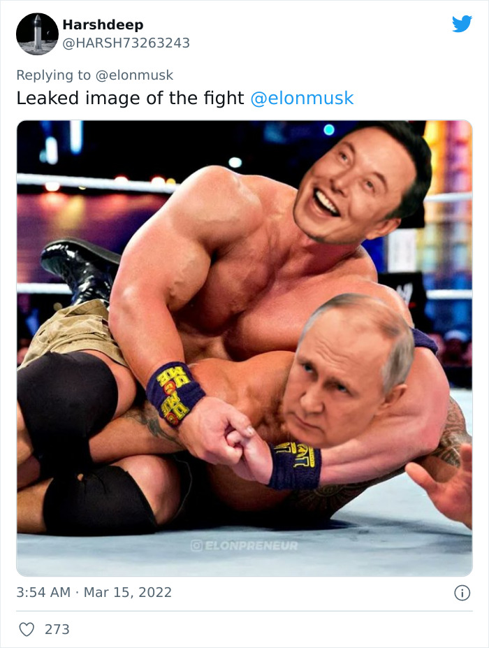 People Online Are Either Loving Or Hating Elon Musk Right Now For Inviting Putin To A Duel To Win Ukraine And Posting Memes