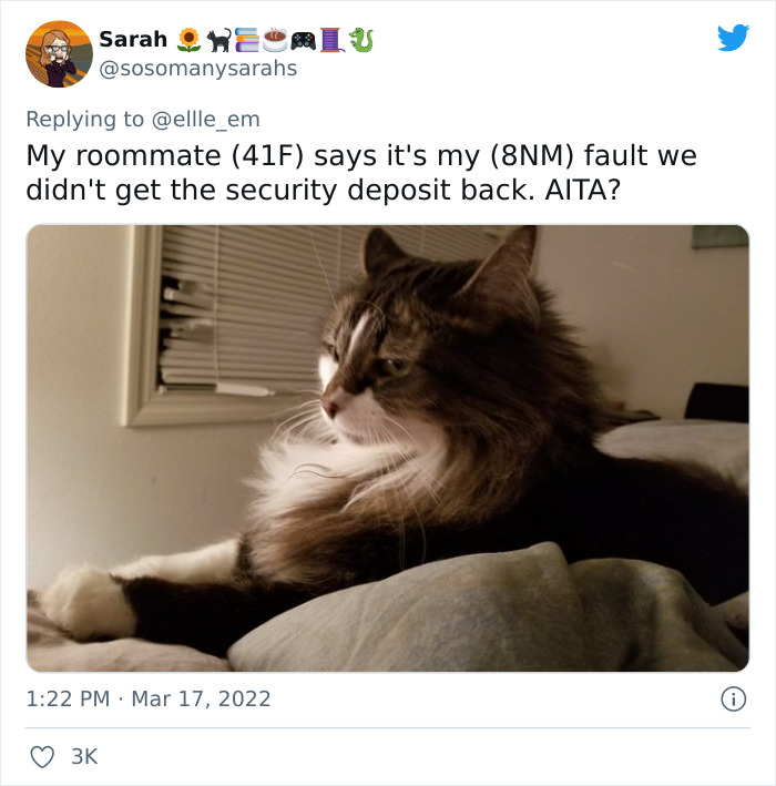 Aita-Cats-Twitter-Thread