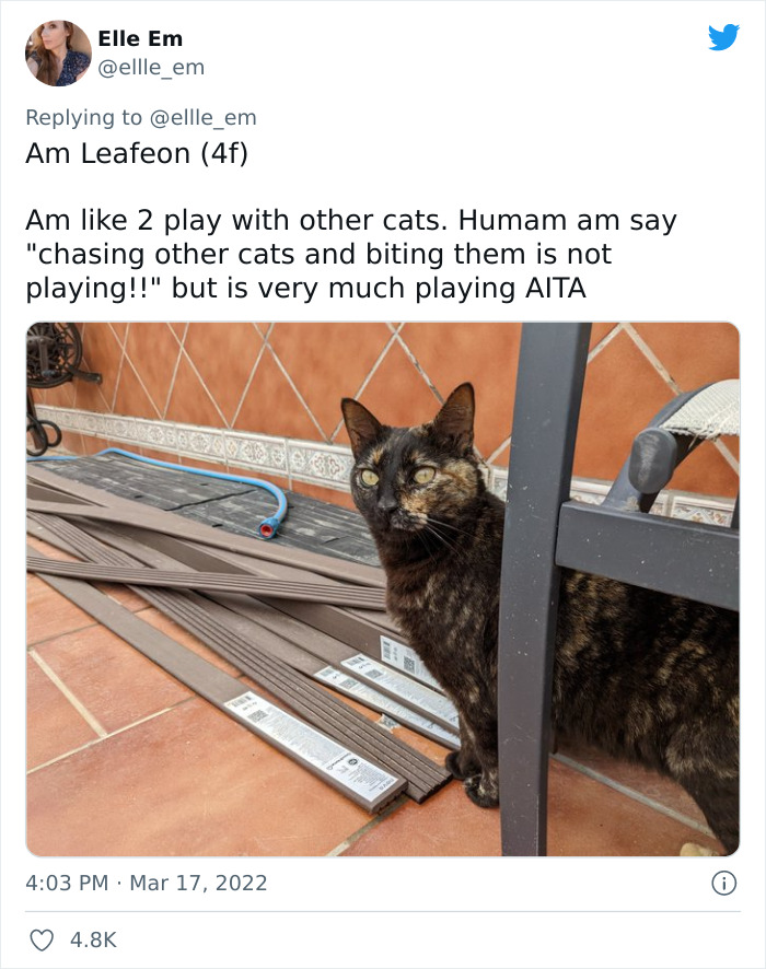 Aita-Cats-Twitter-Thread