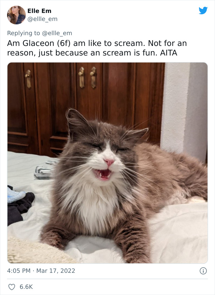 Aita-Cats-Twitter-Thread
